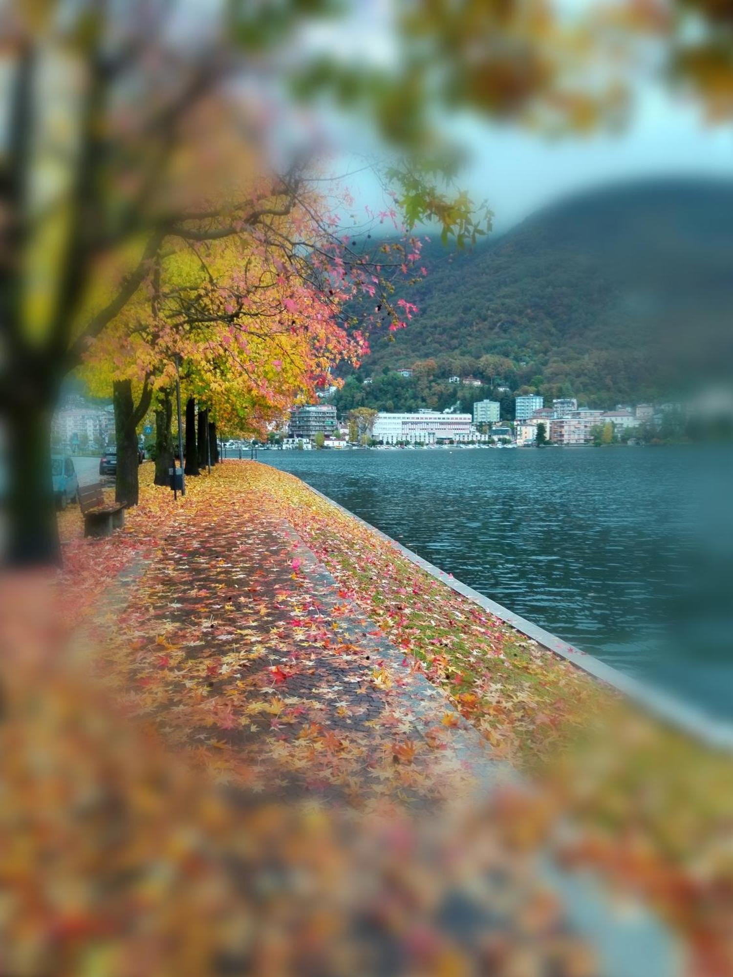Un Balcone Sul Lago Omegna Buitenkant foto